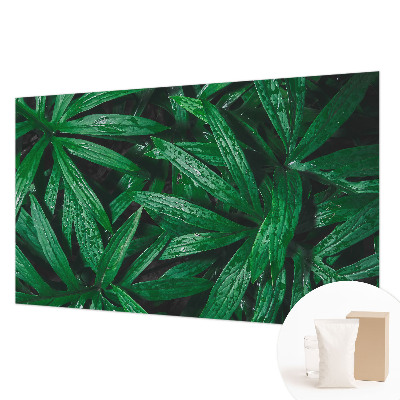 Wallpaper mural for living room Natural greenery
