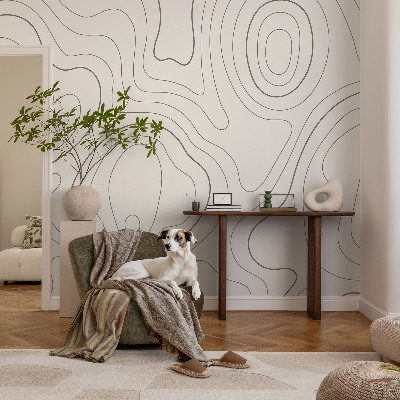 Modern wall mural for bedroom with fluid lines design