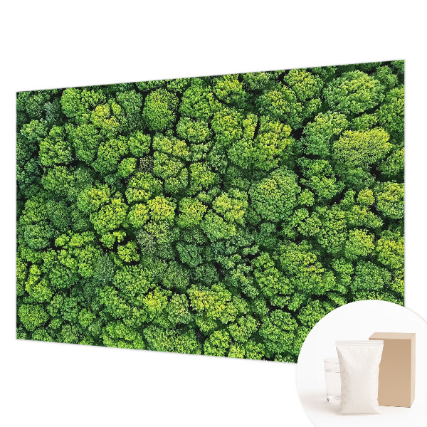Non-woven photo wallpaper with a forest panorama design