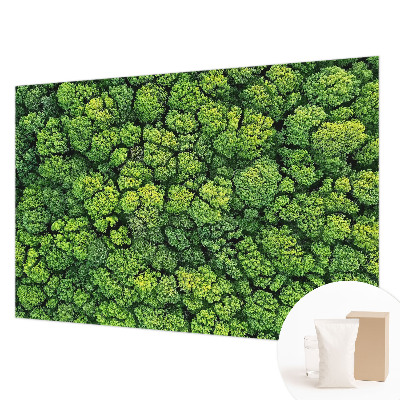 Non-woven photo wallpaper with a forest panorama design