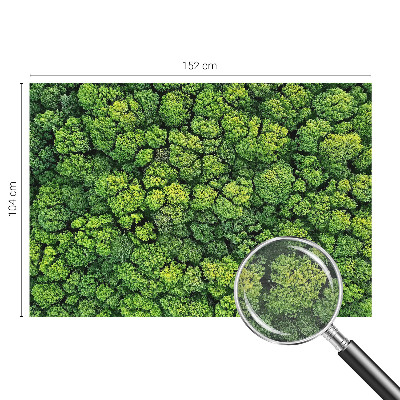 Non-woven photo wallpaper with a forest panorama design