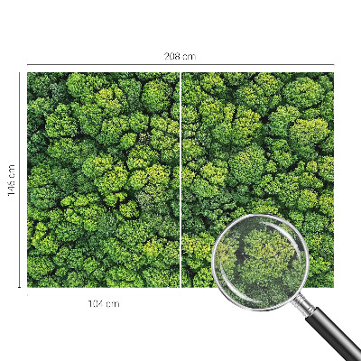 Non-woven photo wallpaper Forest panorama