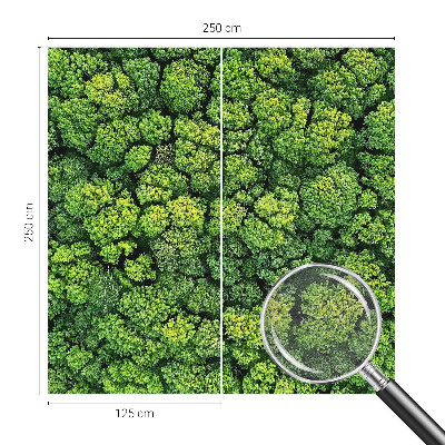 Non-woven photo wallpaper with a forest panorama design
