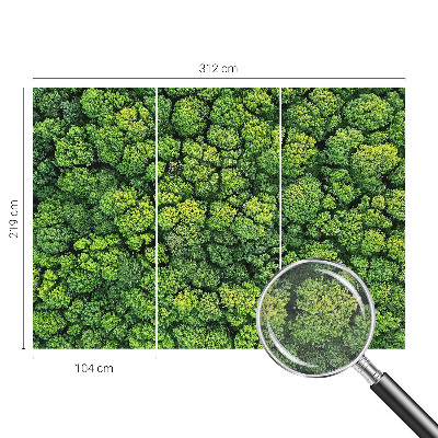 Non-woven photo wallpaper Forest panorama