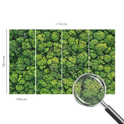 Non-woven photo wallpaper with a forest panorama design