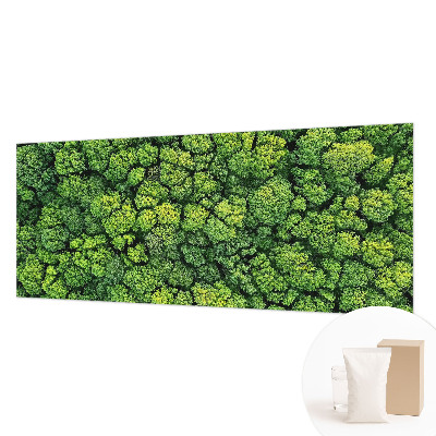 Non-woven photo wallpaper with a forest panorama design