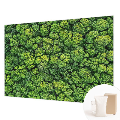 Non-woven photo wallpaper with a forest panorama design