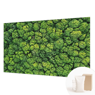 Non-woven photo wallpaper with a forest panorama design