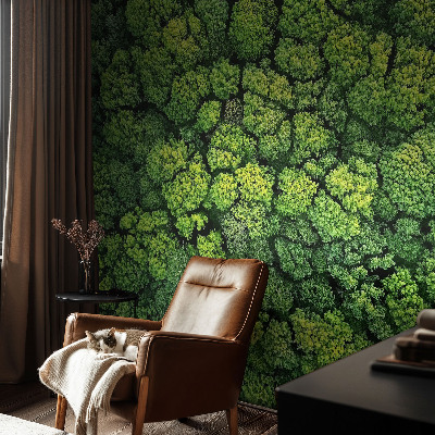 Non-woven photo wallpaper Forest panorama