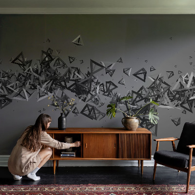 Photo wall mural Geometric abstractions