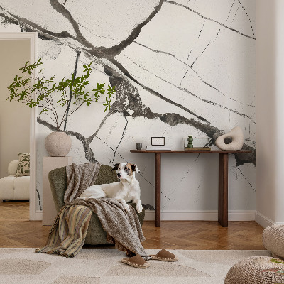 Wall mural for living room Marble cracks