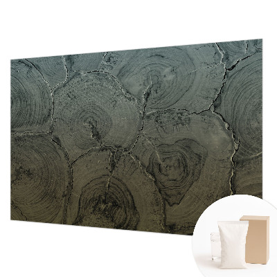 Modern wall mural for bedroom featuring wooden rings as a decorative motif
