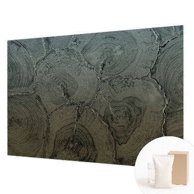 Modern wall mural for bedroom featuring wooden rings as a decorative motif