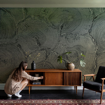Modern wall mural for bedroom featuring wooden rings as a decorative motif
