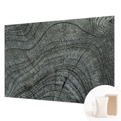 Modern wall mural with a natural wood grain pattern