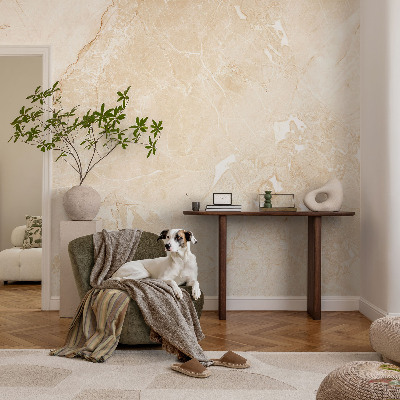 Premium wall mural for bedroom with a natural stone design