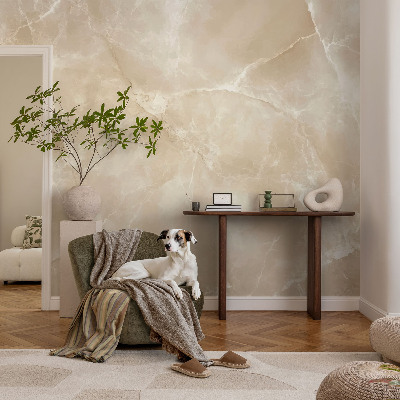 Wallpaper mural for living room with a natural stone design