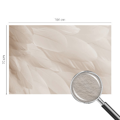 Modern wall mural with an ethereal feather design