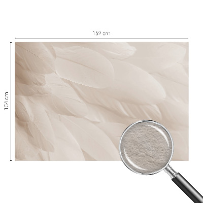 Modern wall mural with an ethereal feather design