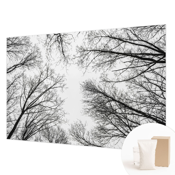 Decorative wall mural for living room with a bare branches design