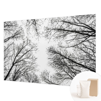 Decorative wall mural for living room with a bare branches design