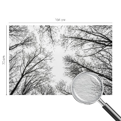 Decorative wall mural for living room with a bare branches design