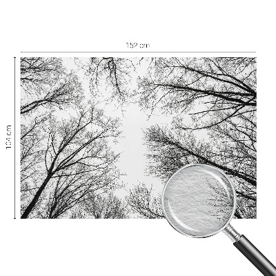 Decorative wall mural for living room with a bare branches design