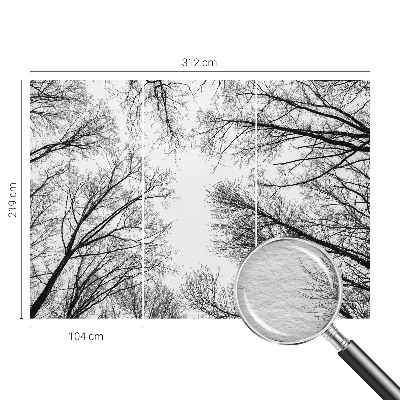 Decorative wall mural for living room with a bare branches design