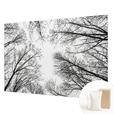 Decorative wall mural for living room with a bare branches design