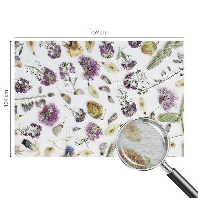High quality photo wallpaper Dried flowers