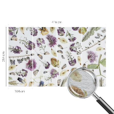 High quality photo wallpaper Dried flowers