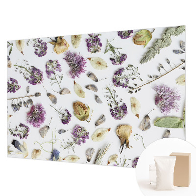High quality photo wallpaper Dried flowers