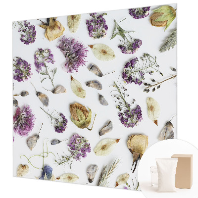 High quality photo wallpaper Dried flowers