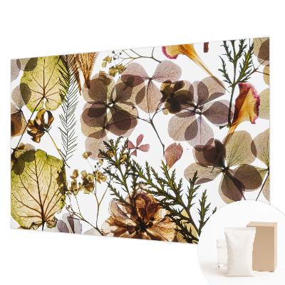 Modern wall mural for bedroom with a natural composition