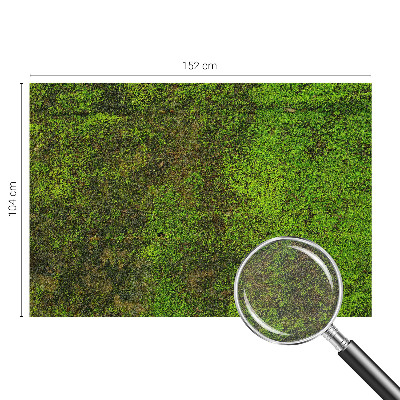 Non-woven photo wallpaper Green carpet