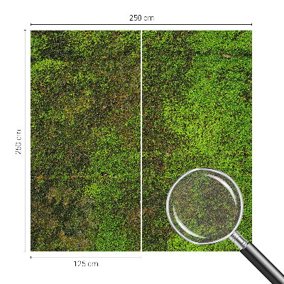 Non-woven photo wallpaper Green carpet