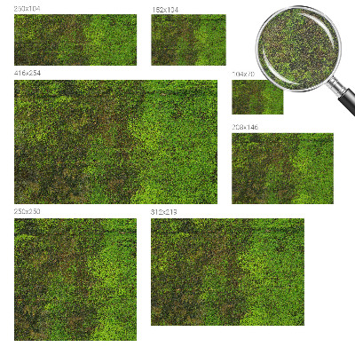 Non-woven photo wallpaper Green carpet