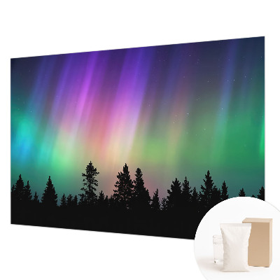 Wall mural with a magical sky design