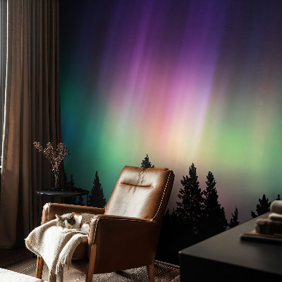 Wall mural with a magical sky design