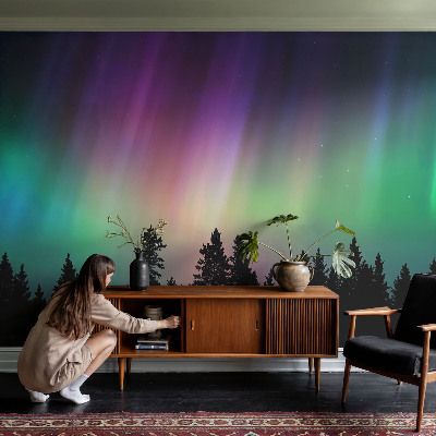 Wall mural with a magical sky design
