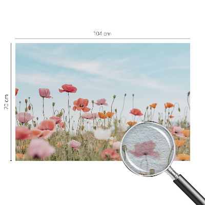 Wall mural for living room with poppy flower design