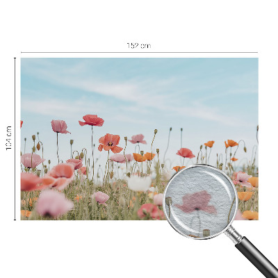 Wall mural for living room with poppy flower design