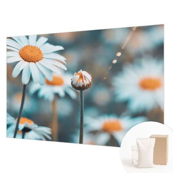 Modern wall mural with a chamomile motif