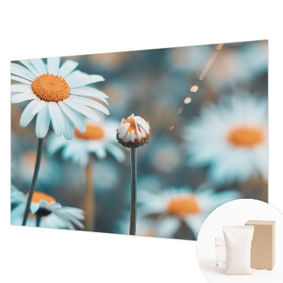 Modern wall mural with a chamomile motif