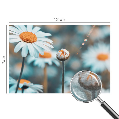 Modern wall mural with a chamomile motif