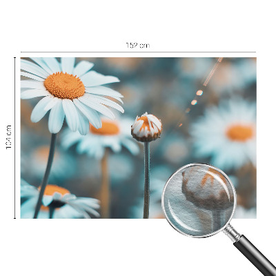 Modern wall mural Chamomile delicacy