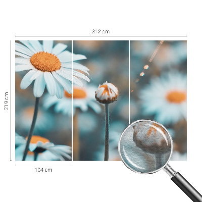Modern wall mural Chamomile delicacy