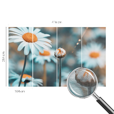 Modern wall mural Chamomile delicacy