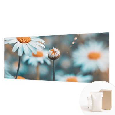 Modern wall mural Chamomile delicacy