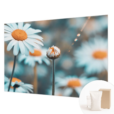 Modern wall mural with a chamomile motif